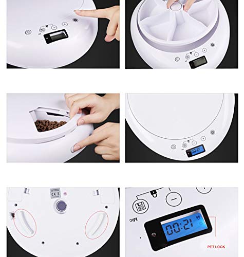 Distribuidor Automático De Alimentos para Gatos - Comedero/Tolva Automatica para Perros Y Gatos, con 6 Compartimentos De Comida Seca O Semihúmeda para Cachorros/Gatito