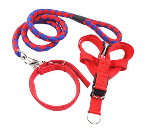 Diyafas Nylon Tejido Perro Correa Collar Arnés de Pecho 3 Set Entrenamiento de Mascotas Correas Perros Pequeños Medianos y Grandes
