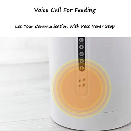 DjfLight Alimentador automatico de Mascotas para Perro Gato, automatico comedero, Mascota Inteligente Llamada de Voz para Dispositivo de alimentación, Alimentador cuantitativo pequeño Máquina