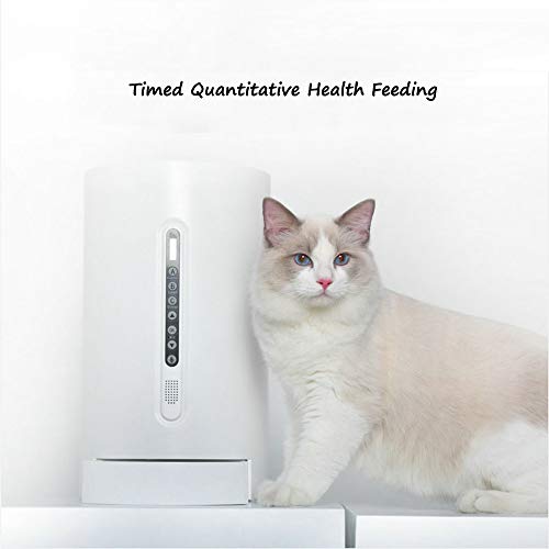 DjfLight Alimentador automatico de Mascotas para Perro Gato, automatico comedero, Mascota Inteligente Llamada de Voz para Dispositivo de alimentación, Alimentador cuantitativo pequeño Máquina