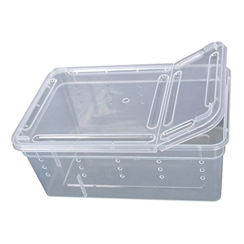 dljztrade Caja de plástico transparente para alimentar reptiles, insectos, reptiles, caja de transporte