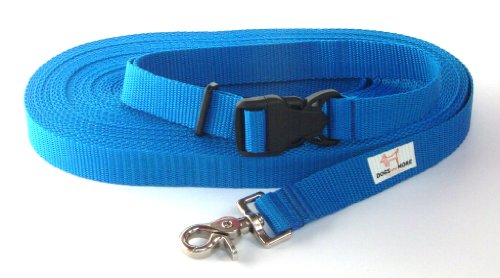 DOGS and MORE – Correa de perro EXTENSIBLE y con lazo de mano para abrir / correa de entrenamiento / correa de adiestramiento = > 15 Metros en Azul