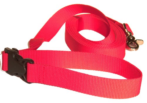 DOGS and MORE – Correa de perro EXTENSIBLE y con lazo de mano para abrir / correa de entrenamiento / correa de adiestramiento = > 5 Metros en Rojo