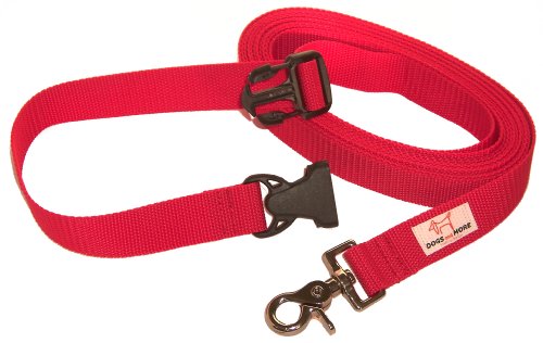 DOGS and MORE – Correa de perro EXTENSIBLE y con lazo de mano para abrir / correa de entrenamiento / correa de adiestramiento = > 5 Metros en Rojo