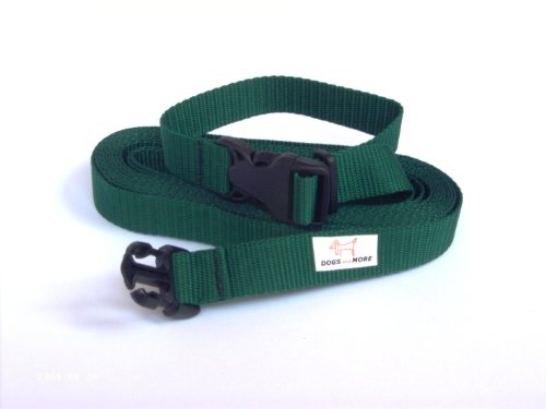 DOGS and MORE – EXTENSIÓN para correa de perro y con lazo de mano para abrir / correa de entrenamiento / correa de adiestramiento = > 5 Metros en Verde