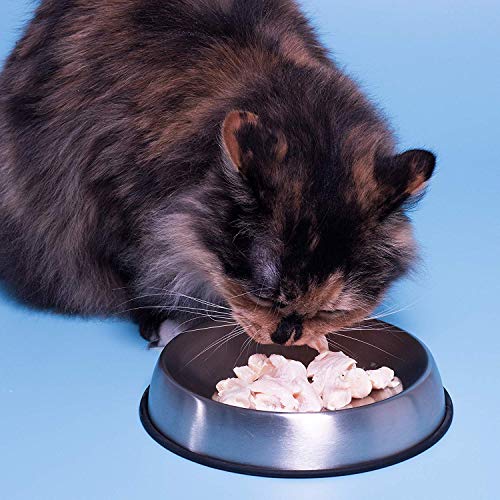 Dr. Catsby del Cuenco de la Comida para Bigote Socorro