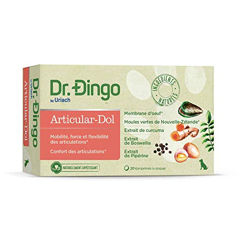 Dr Dingo Articular DOL 20COMP