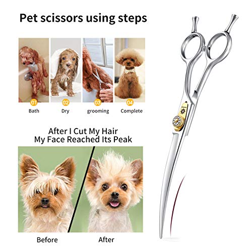 Dream Reach - Juego de tijeras profesionales de peluquería para perros, rectas, curvas, adelgazamiento/mezcla/trocear, JP-440C, de acero inoxidable, para cortar/recortar el pelo de mascotas