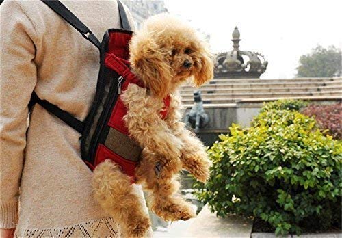 Ducomi Dupet - Bolsa frontal para transportar perros – Mochila riñonera suave y ligera para perros, gatos y cachorros – Apto para paseos y viajes – Cómoda para animales domésticos (L, rojo)