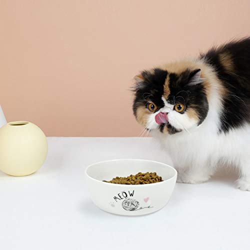 Dynmeow Comedero Gato Ceramica, Comederos y Bebederos para Gatos, Cuenco para Mascotas Antideslizante con Patrón de Mariposa