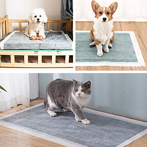 DZL- Empapadores de adiestramiento para Perros, carbón, Almohadillas de Entrenamiento 50 Almohadillas de Entrenamiento para Cachorros Súper Absorbentes de 55.8x55.8cm (40PC)