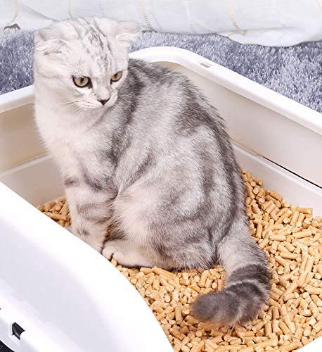 DZL- Virutas de Madera para Mascotas 10L Lecho Higienico Virutas de Madera para Hámster Conejo Gato Loro Animales Pequeños (Lecho10L)