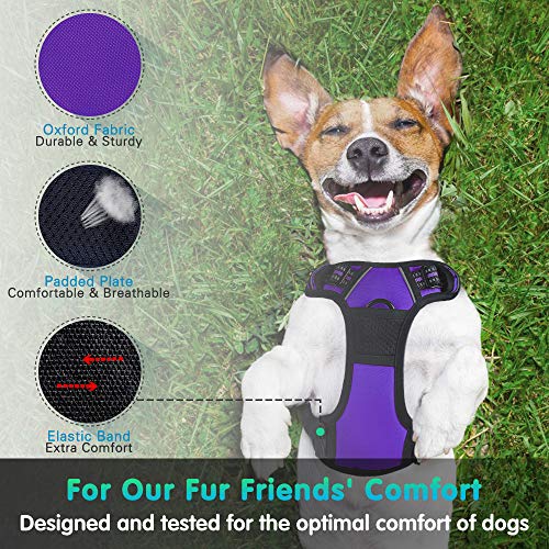 Eagloo Arnes de Perro Antitirones Cómodo Chaleco Ajustable Correa al Cuello y Pecho para Perros Pequeños Material Duradero Transpirable con Cinta Reflectante Adaptarse a Ejercer Externo L/Púrpura