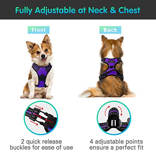 Eagloo Arnes de Perro Antitirones Cómodo Chaleco Ajustable Correa al Cuello y Pecho para Perros Pequeños Material Duradero Transpirable con Cinta Reflectante Adaptarse a Ejercer Externo L/Púrpura