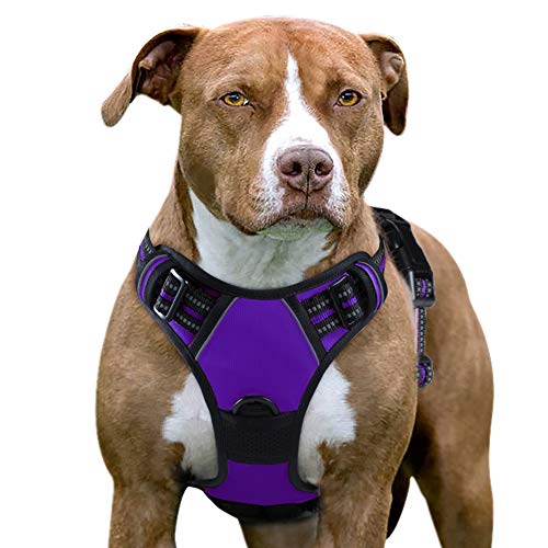 Eagloo Arnes de Perro Antitirones Cómodo Chaleco Ajustable Correa al Cuello y Pecho para Perros Pequeños Material Duradero Transpirable con Cinta Reflectante Adaptarse a Ejercer Externo L/Púrpura