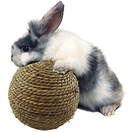 Earlyad Mascota pequeña Masticar Dientes de Juguete Bola de molienda Juguetes de Hierba Natural para Conejos Gatos Pequeños roedores