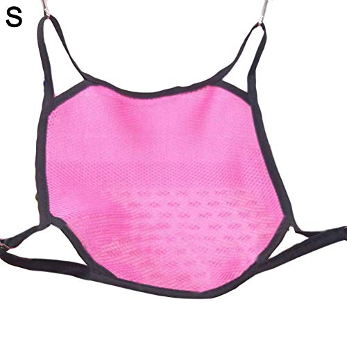 Earlyad Puente Colgante Hamaca Cama para Dormir Sándwich Malla Transpirable Pequeña Mascota Jaula Mini Cama Colgante para Ratones Hamsters