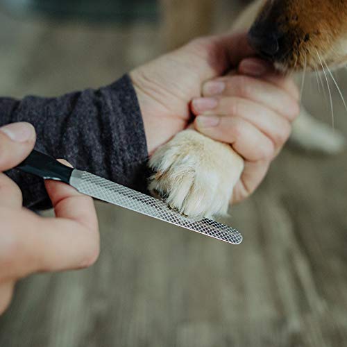 ECENCE Cortaúñas para Perros y Gatos - alicates para uñas - Calidad Profesional - Lima de uñas - Cuidado de uñas - Tijera para Las Garras de Perros medianos 31010205