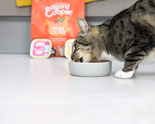 Edgardcooper Bio Grain Free Adult para gatos de 85 g, pollo salvia y manzanilla