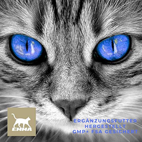 EMMA MSM & Glucosamina I Polvo para Juntas con azufre Metilsulfonilmetano I Comida suplementaria para Perros I para Juntas I Can 150g