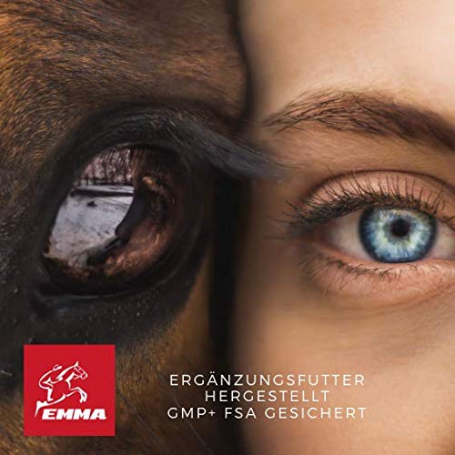 EMMA MSM & Glucosamina I Polvo para Juntas con azufre Metilsulfonilmetano I Comida suplementaria para Perros I para Juntas I Can 150g