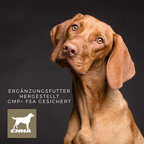 EMMA MSM & Glucosamina I Polvo para Juntas con azufre Metilsulfonilmetano I Comida suplementaria para Perros I para Juntas I Can 150g