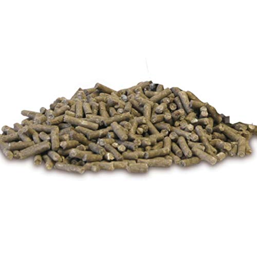 EQUIPUR - zink forte, 1.000 g