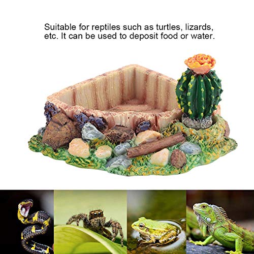 Esquina de reptil Plato de agua Cuenco de tortuga de resina Plato de comida para reptiles Comedero de gusanos Plato de terrario Plato de cactus artificial Adorno de paisaje de piscina para lagarto Gec