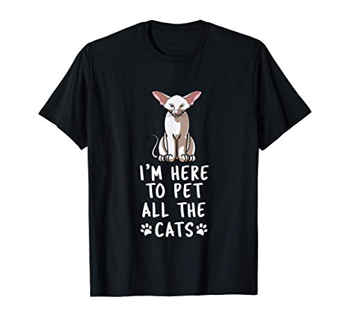 Estoy aquí para acariciar a todos los gatos, divertidos orie Camiseta