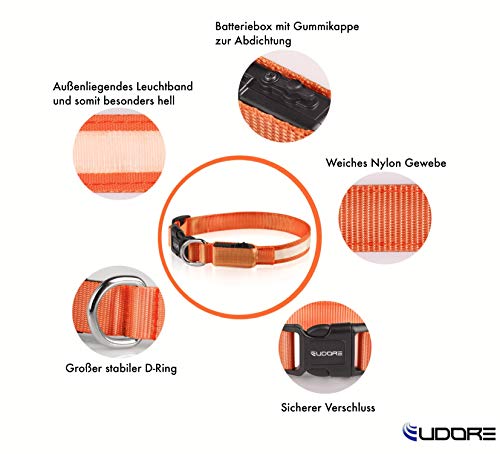 Eudore Collar de perro LED luminoso, recargable por USB, ajustable, 100% resistente al agua, en diferentes tamaños y colores