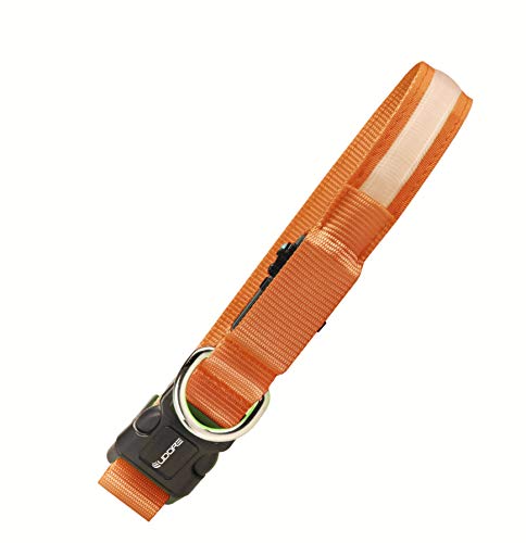 Eudore Collar de perro LED luminoso, recargable por USB, ajustable, 100% resistente al agua, en diferentes tamaños y colores