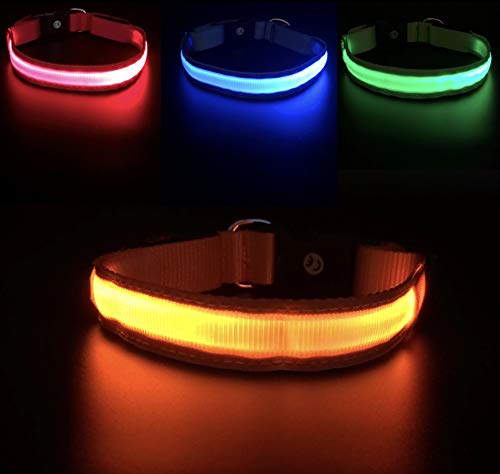 Eudore Collar de perro LED luminoso, recargable por USB, ajustable, 100% resistente al agua, en diferentes tamaños y colores