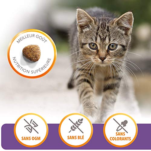 Eukanuba Iams Feline Kitten 1,5Kg 1500 g