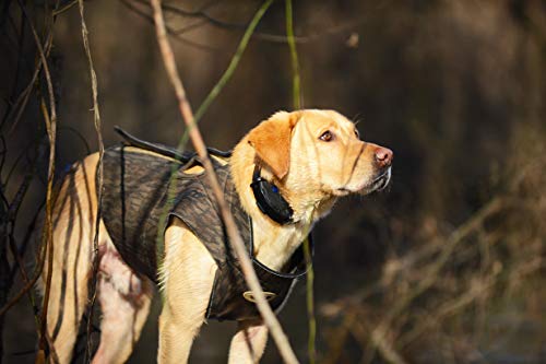 EUROHUNT 3113 Dog Boater 's hundeparka, Diferentes tamaños, Perros – Chaleco, Neopreno de 5 mm de Grosor, Caza, Perros – Chaleco