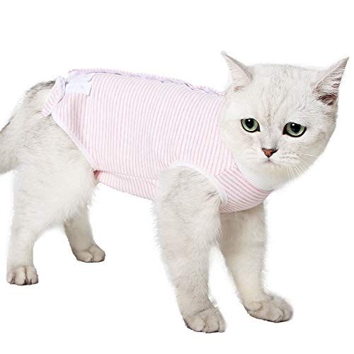 EVEL - Traje de recuperación para gatos, transpirable, a rayas, quirúrgico, para enfermedades de la piel y heridas abdominales, cuello E, alternativa para gatos después de la cirugía, ropa interior