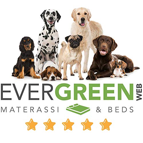 Evergreenweb Cama para Perro, Beige 65x85 Sofá para Perro, Alfombrilla para Perro, Cesta para Perro, Acogedora Cama para Mascotas en la Habitación Borde Elevado, con Suave cojín Desmontable - Rex