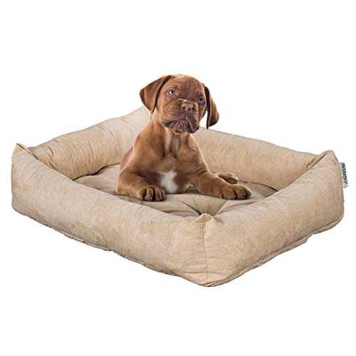 Evergreenweb Cama para Perro, Beige 65x85 Sofá para Perro, Alfombrilla para Perro, Cesta para Perro, Acogedora Cama para Mascotas en la Habitación Borde Elevado, con Suave cojín Desmontable - Rex