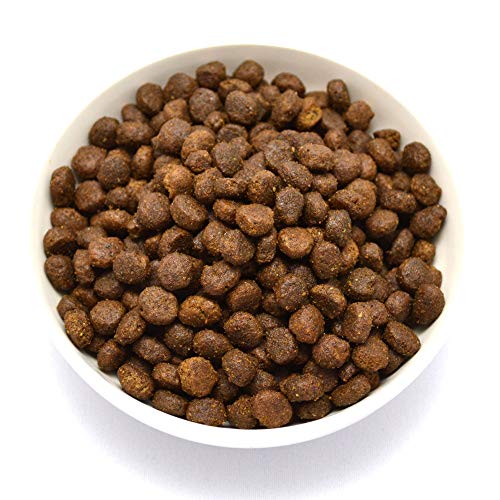 Farmina N&D Dog Pumpkin Chic&Pomegranate Adult Mini 800 g