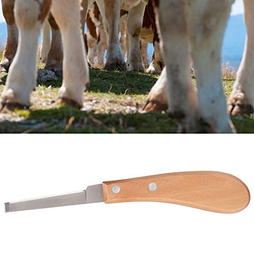 Fdit Herramienta de Corte de Cuchilla Recta para pezuña de Caballo Herramienta de Corte de Cuchilla para pezuña de Acero al Carbono para Uso de Ganado Vacuno(2#)