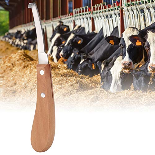 Fdit Herramienta de Corte de Cuchilla Recta para pezuña de Caballo Herramienta de Corte de Cuchilla para pezuña de Acero al Carbono para Uso de Ganado Vacuno(2#)