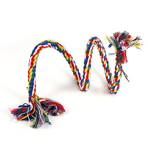 Fdit Juguete Cuerda de Espiral de Pájaro Mascota Colorido Loro Colgante Cuerda de Algodón Oscilación Escalada Masticar Juguete de Pie