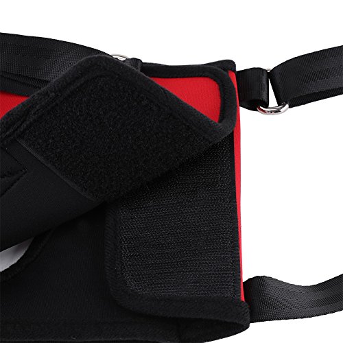 Fdit Soporte para Perros Heridos Arnés para Perro Viejos Correa para Mascotas Perros Gatos Animales(Patas Delanteras Rojas S)
