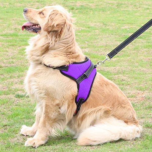 Feimax Arnés para Perro Mediano Grande Antitirones Ajustable Reflectante Arnes Pecho para Perros Pequeño Duradero Chaleco Acolchado Malla Suave Transpirable para Entrenamiento Correr