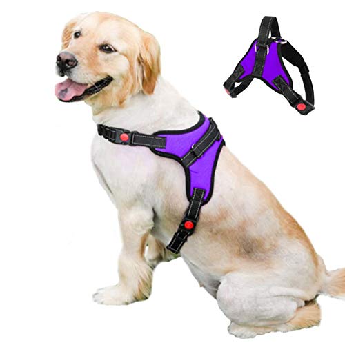 Feimax Arnés para Perro Mediano Grande Antitirones Ajustable Reflectante Arnes Pecho para Perros Pequeño Duradero Chaleco Acolchado Malla Suave Transpirable para Entrenamiento Correr
