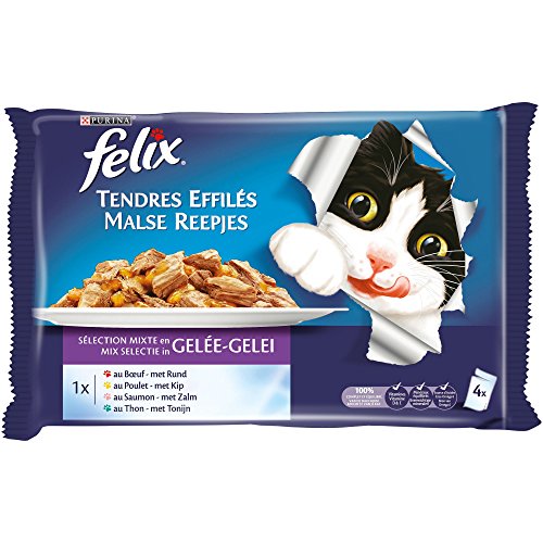 Felix Tiernos trozos en Salsa gelatinosa Comida para Gatos Adultos. Sabor y tamaño a Elegir.
