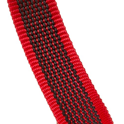 Ferplast - Correa para Perros Daytona Gummy Matic, Negro