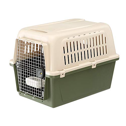 Ferplast Transportín para Perros de Talla Grande Atlas 50 Classic, con comedero, Puerta de Acero plastificado, Sistema de Cierre de Seguridad, Rejillas de ventilación, 55,5 x 81 x h 58 cm Verde