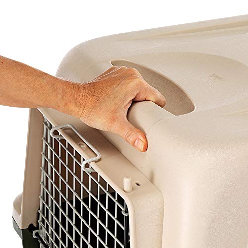 Ferplast Transportín para Perros de Talla Grande Atlas 50 Classic, con comedero, Puerta de Acero plastificado, Sistema de Cierre de Seguridad, Rejillas de ventilación, 55,5 x 81 x h 58 cm Verde