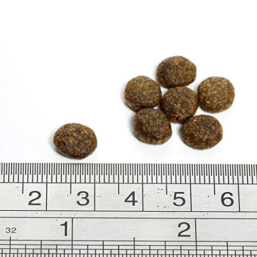 Fish4Dogs Fish4Dogs Canine Adult Small Salmon 1,5Kg 1500 g