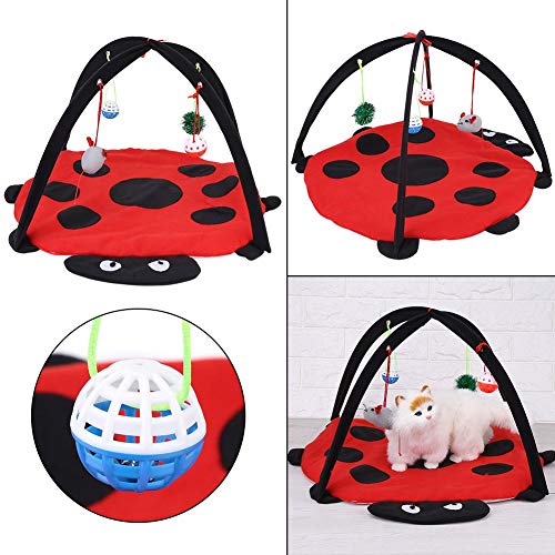 Fishlor Cat Play Mat Plegable, Centro de Actividades para Gatos multifunción Cat Activity Bed con 4 Juguetes Colgantes Bolas Cat Play Carpa
